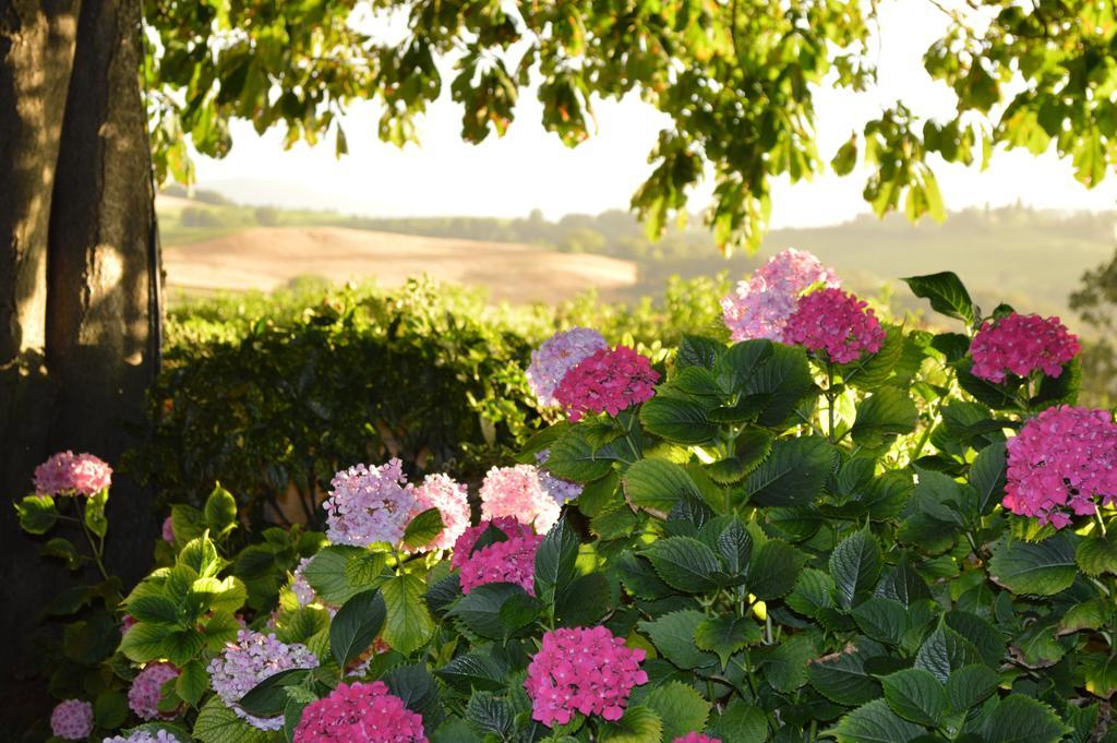 Agriturismo Cavazzone Regnano  Екстер'єр фото